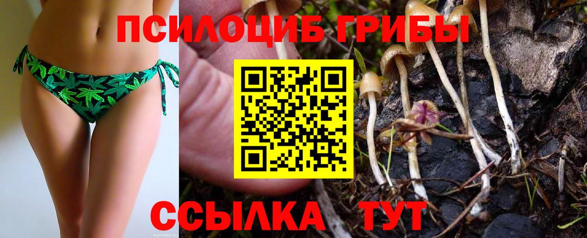 Галлюциногенные грибы Psilocybine cubensis  Вход с VPN  Евпатория 